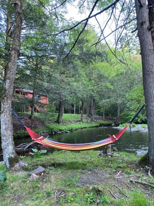 Peaceful Gateway To Island Creek Cottage East Stroudsburg Dış mekan fotoğraf